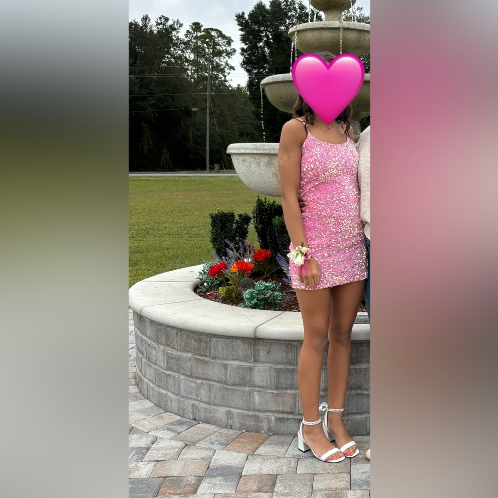 Lucy in the Sky Pink Sequin Dress